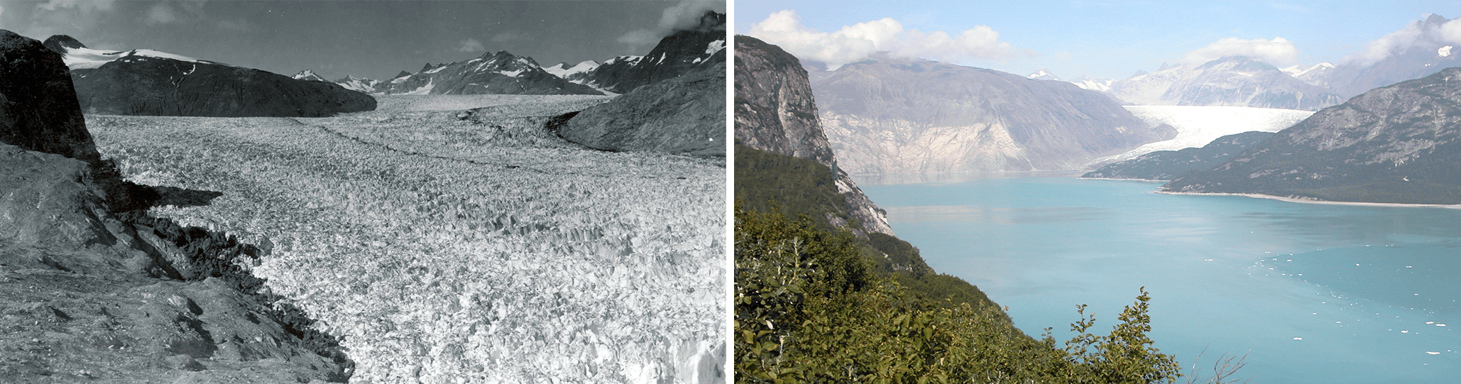 Alaska's Muir glacier in August 1941 and August 2004.
